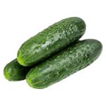 Cucumber