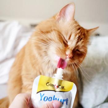 Ласощі для котів GimCat Yoghurt 150 г (молоко) - купити, ціни на MasterZoo - фото 2