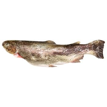 Chilled Gutted Trout 300-400g