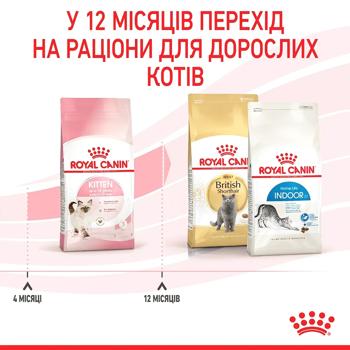 Корм сухой Royal Canin для котят 3,2кг+800г - купить, цены на MasterZoo - фото 6
