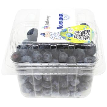 Artberry Blueberries 500g - buy, prices for NOVUS - photo 1