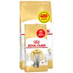 Корм сухой Royal Canin Adult с домашней птицей для кошек породы британская короткошерстная 2кг+400г
