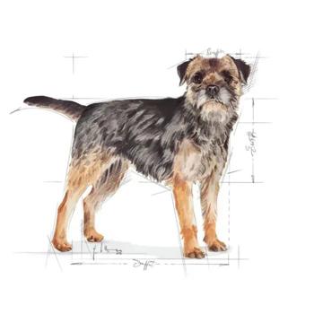 Корм сухий Royal Canin Mini Sterilized Adult для стерилізованих собак малих порід із зайвою вагою 3кг + миска - купити, ціни на MasterZoo - фото 4