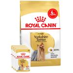 Набір корму Royal Canin Adult для собак породи йоркширський тер'єр cухий 1,5кг + вологий 4шт х 85г