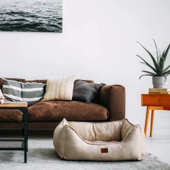 Noble Pet Leon Pet Bed 55x45х18cm Sand - buy, prices for COSMOS - photo 2