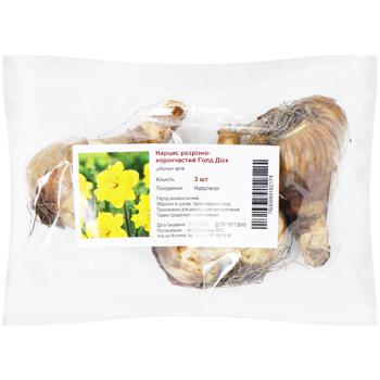 Gold Disc Cut-crown Narcissus 3pcs - buy, prices for Auchan - photo 1