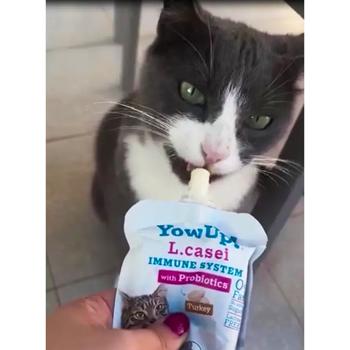 YowUp! L.Casei Immune System Yogurt with Turkey and Probiotics Snack for Cats 85g - buy, prices for - photo 4
