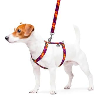 Waudog Nylon H-Shaped Harness for Dogs with QR Passport 30-40cm/15mm with 3D Cube Design - buy, prices for MasterZoo - photo 2