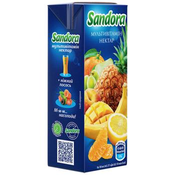 Sandora Multivitamin Nectar 200ml - buy, prices for Epicentr FOOD - photo 3
