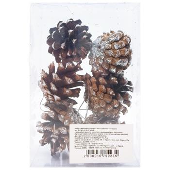 Набір шишок натуральних зі срібними кінчиками 6шт - купити, ціни на - фото 2