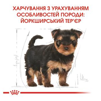 Корм сухий Royal Canin з домашньою птицею для цуценят породи йоркширський тер'єр 1,2кг + 300г - купити, ціни на MasterZoo - фото 4