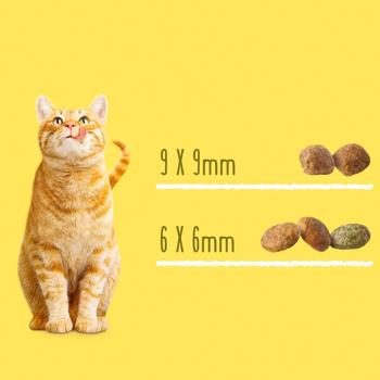 Friskies Sterilized Dry Food with Salmon, Tuna and Vegetables for Sterilized Cats 10kg - buy, prices for - photo 3