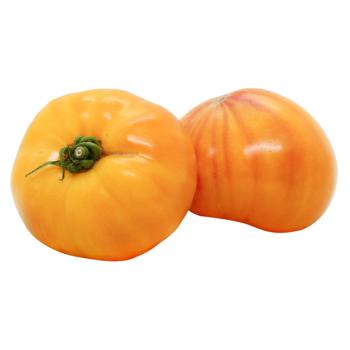 Madrid Tomato