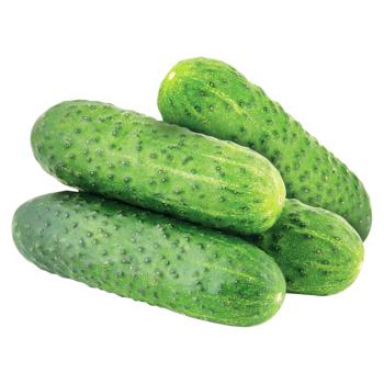 Cucumbers - buy, prices for COSMOS - photo 1