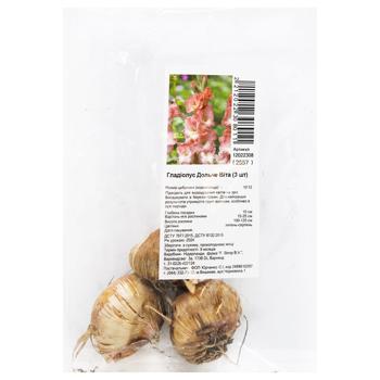 Бульбоцибулини гладіолуса Дольче Віта 3шт - купити, ціни на МегаМаркет - фото 1