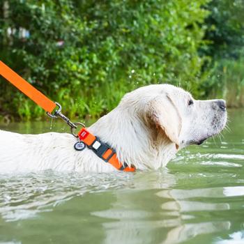 Нашийник для собак COLLAR WOUDOG Водостійкий M - помаранчевий - купить, цены на MasterZoo - фото 4