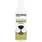 Shampoo 250ml