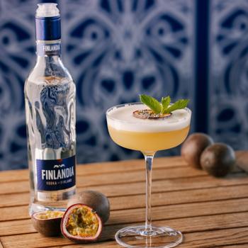 Finlandia Vodka 40% 1l - buy, prices for - photo 2