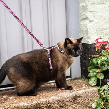 Шлея для кошек Max and Molly One Size полиэстер с поводком с принтом розовый леопард - купить, цены на MasterZoo - фото 2