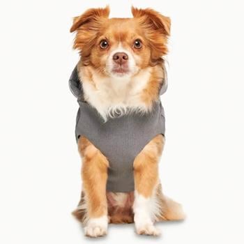 Goo-eez Hooded Full Body Winter Snowsuit for Dogs with Hood s.2XS Grey - buy, prices for - photo 3