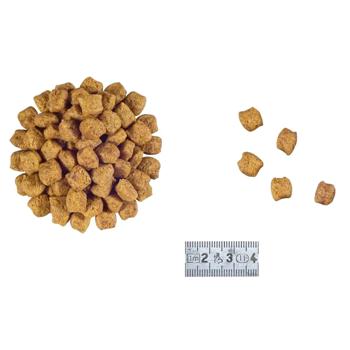 Корм сухий Royal Canin Early Renal для літніх котів із захворюваннями нирок 400г - купити, ціни на MasterZoo - фото 2