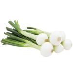 Spring Onion