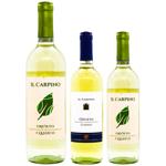 Il Carpino Orvieto Wine white dry 12% 0.75l