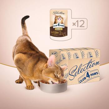 Club 4 Paws Premium Selection Wet Food with Atlantic Herring and Baltic Herring for Cats 80g - buy, prices for MasterZoo - photo 6
