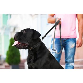Повідець Collar Evolutor 3м / 25мм чорний - купити, ціни на MasterZoo - фото 8