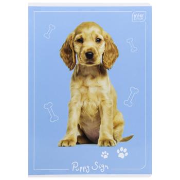 Зошит Interdruk чистий лист А5 16 аркушів в асортименті - купити, ціни на ULTRAMARKET - фото 5