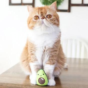 Іграшка для котів Petstages Lil' Avocato - купити, ціни на MasterZoo - фото 3