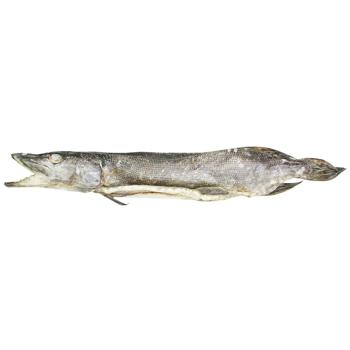 Shelf Dried Pike