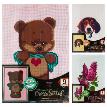 Cross Stitch Embroidery with Cross Creativity Set