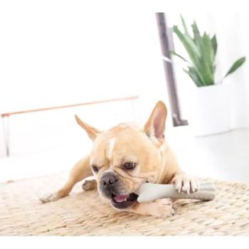 Toy Petstages - buy, prices for MasterZoo - photo 2