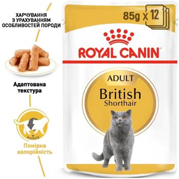 Корм влажный Royal Canin Adult с домашней птицей для кошек породы британская короткошерстная 9+3шт*85г - купить, цены на MasterZoo - фото 2