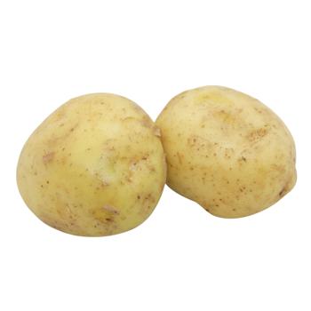 Washed Young Potatoes Ukraine - buy, prices for NOVUS - photo 1
