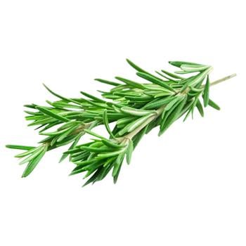 Rosemary