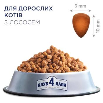 Club 4 Paws Premium сухий корм для котів 900 г - лосось - купить, цены на MasterZoo - фото 3