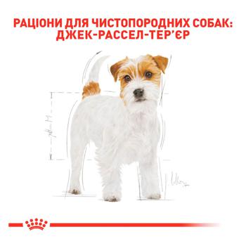 Royal Canin Dry Food with Poultry for Adult Jack Russell Terrier Dogs 1.5kg - buy, prices for MasterZoo - photo 3