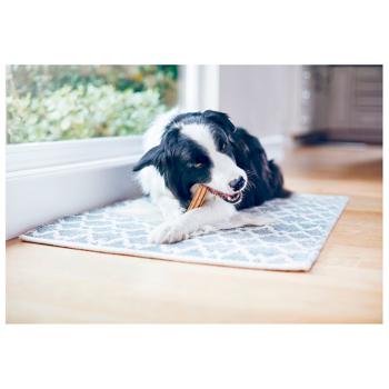 DentaLife Medium Snack for Medium Breed Dogs for Oral Health 115g - buy, prices for MasterZoo - photo 8