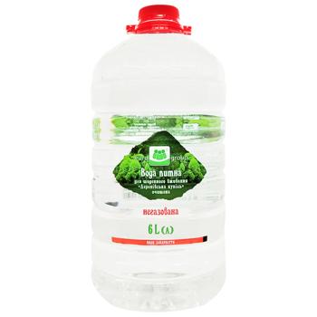 Eurogroup Derenivska Kupil Mineral Non-Carbonated Water 6l