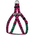 Leash Barksi Ukraine