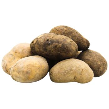 Granada Potatoes - buy, prices for METRO - photo 1