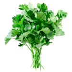 Greens parsley fresh
