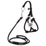 Leash Waudog Ukraine