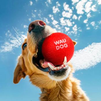 Waudog Ball іграшка для собак 7 см - червоний - купить, цены на MasterZoo - фото 5