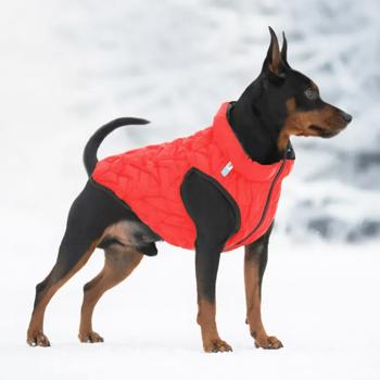 Курточка для собак AiryVest Uni двостороння р.XS28 червоно-чорний - купити, ціни на MasterZoo - фото 3