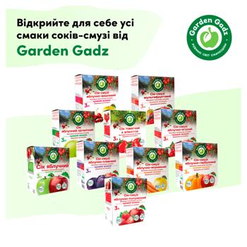 Gadz Apple Plum  Smoothie Juice 3l - buy, prices for - photo 4