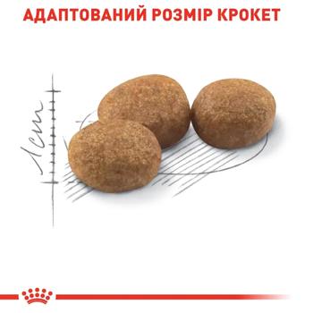 Корм сухий Royal Canin Sterilised 37 з домашньою птицею для стерилізованих котів 2кг+400г - купити, ціни на MasterZoo - фото 5