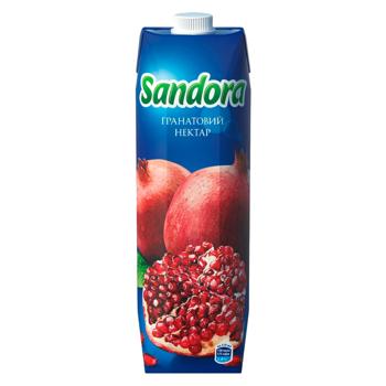 Sandora Pomegrnate Nectar 0.95l - buy, prices for EKO Market - photo 1